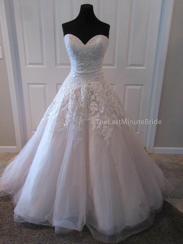 Bonny 424 - The Last Minute Bride Bonny 424 - The Last Minute Bride