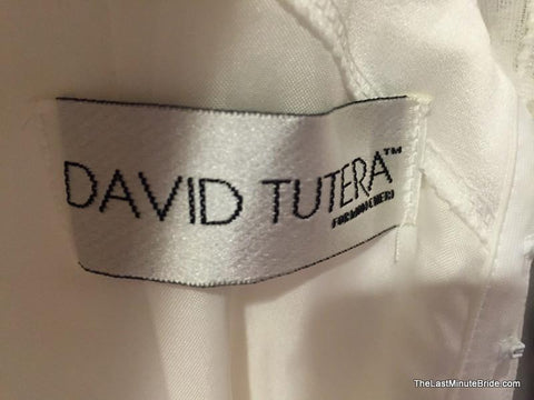 David Tutera 213246